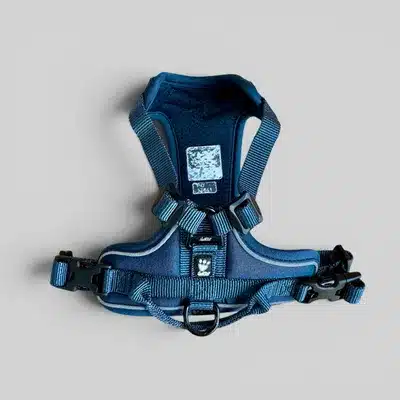 Detail shot of Hurtta Active Harness Juniper in dark blue nylon, showing D-ring and buckle.