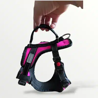 Rukka Solid Hundsele 1