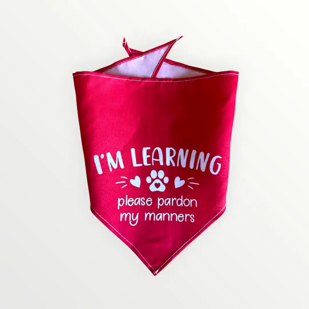 I am Learning Dog Scarf