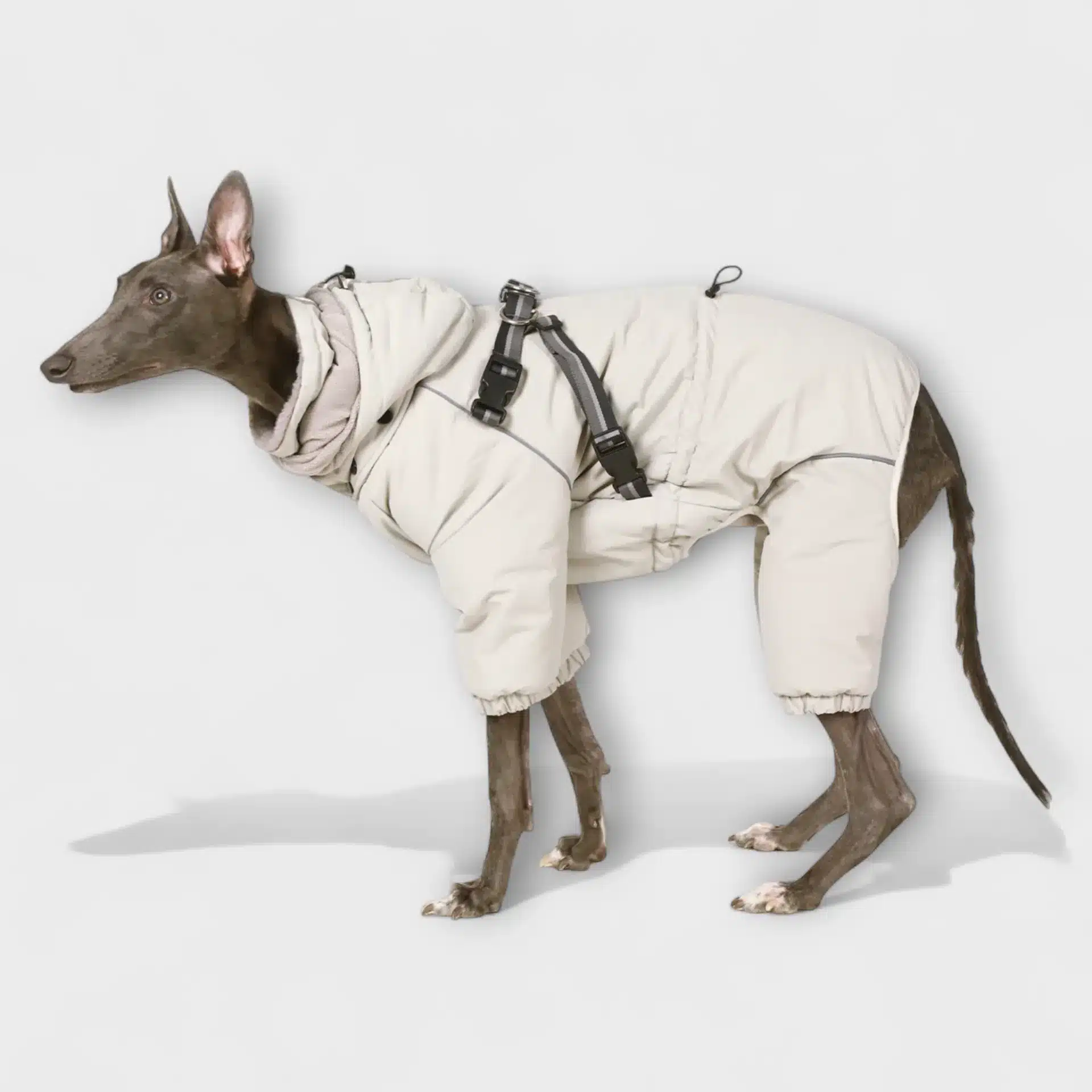 Laifug Vinteroverall för Hund 11