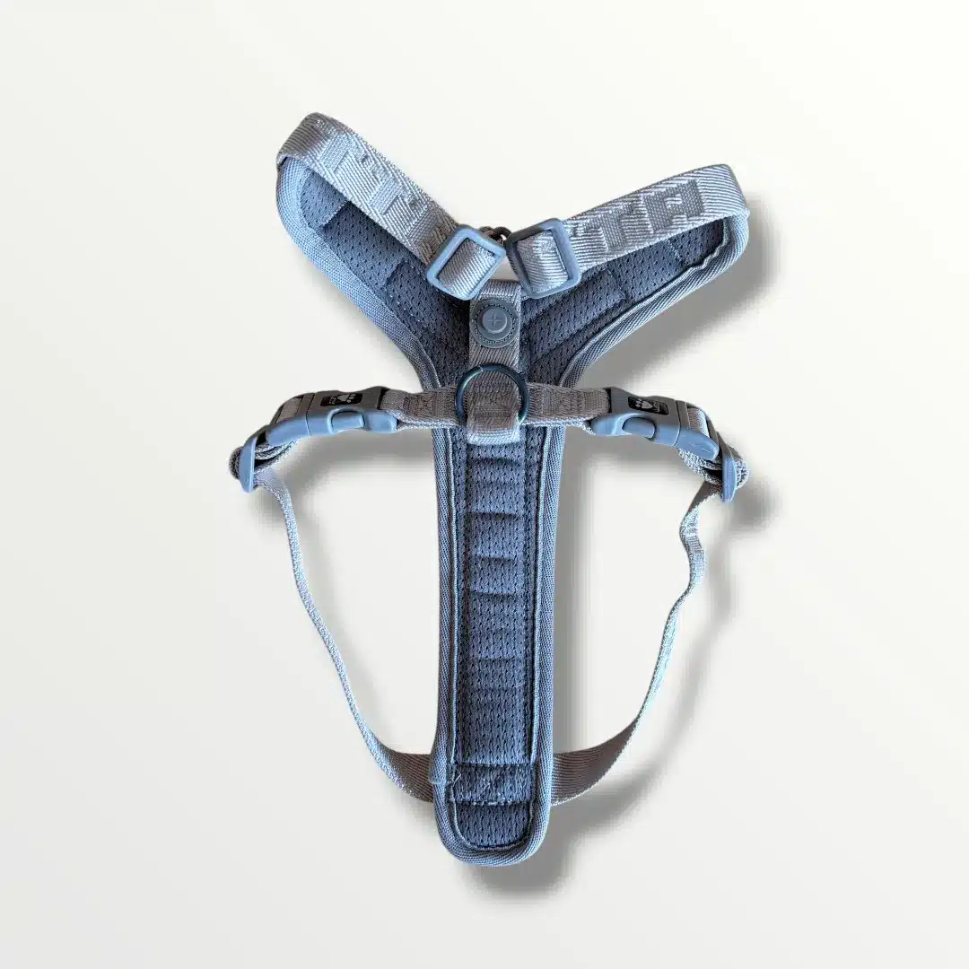 Hurtta Padded Hundsele Cherry 3