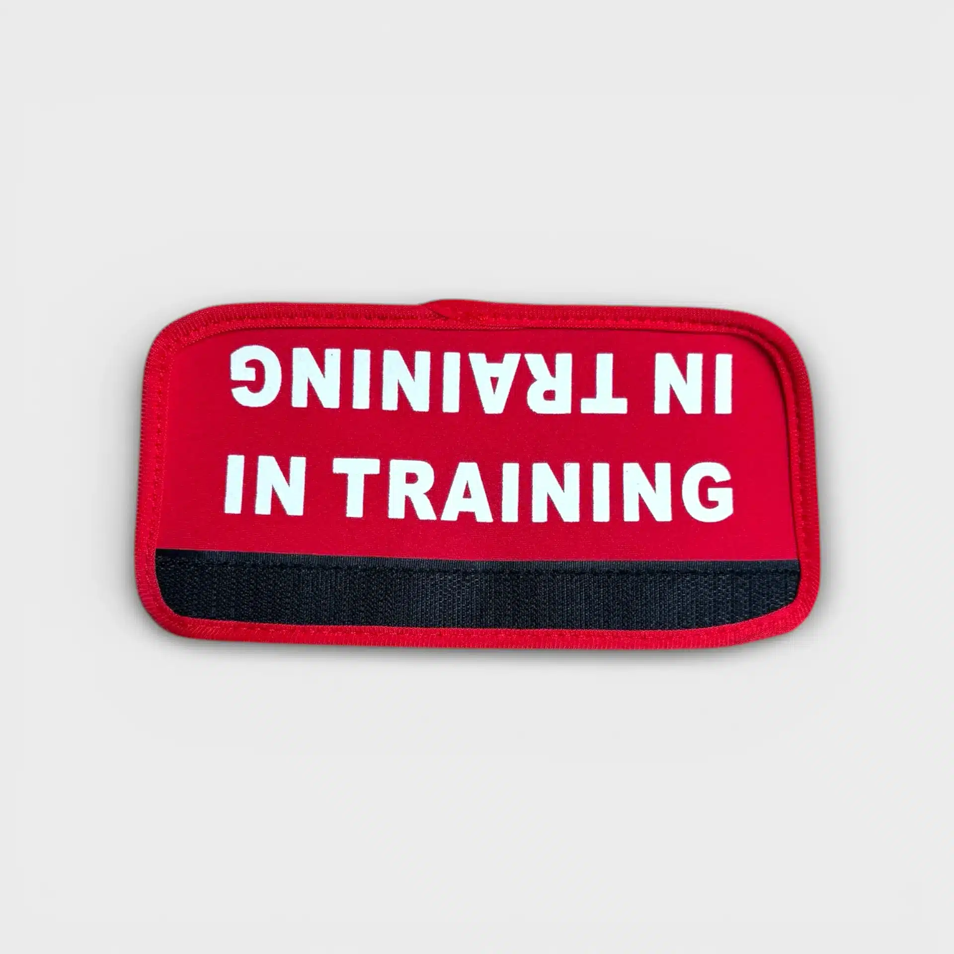 “In Training” Säkerhetskedja för hundsele 1