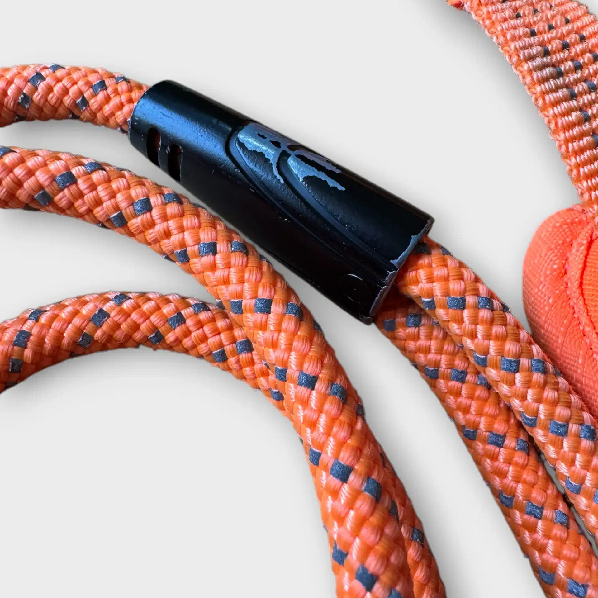 Feel Active Halsband & Repkoppel 1