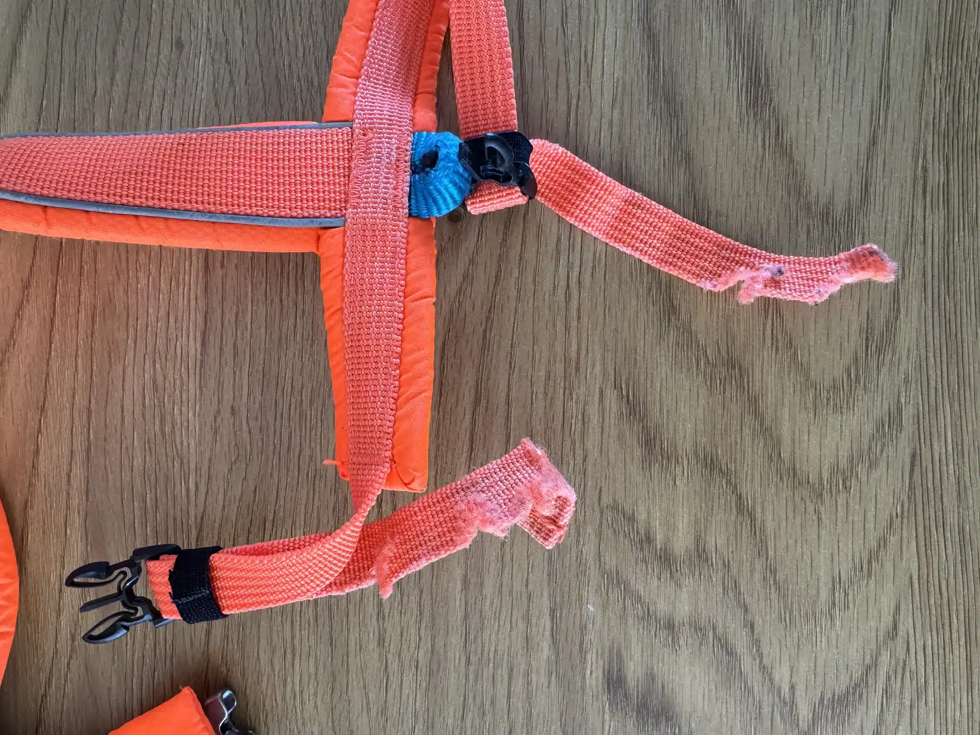 Non-Stop Dog Hund sele S2 5