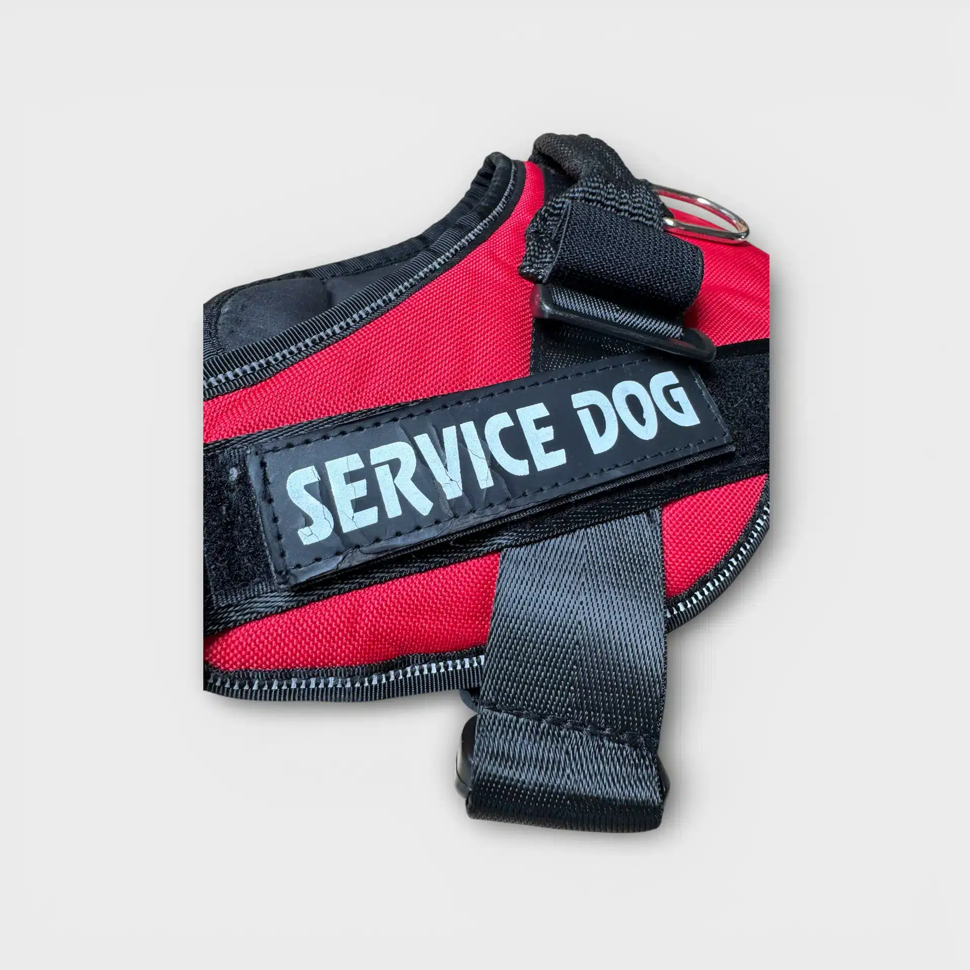 “Service Dog” Hundsele 2
