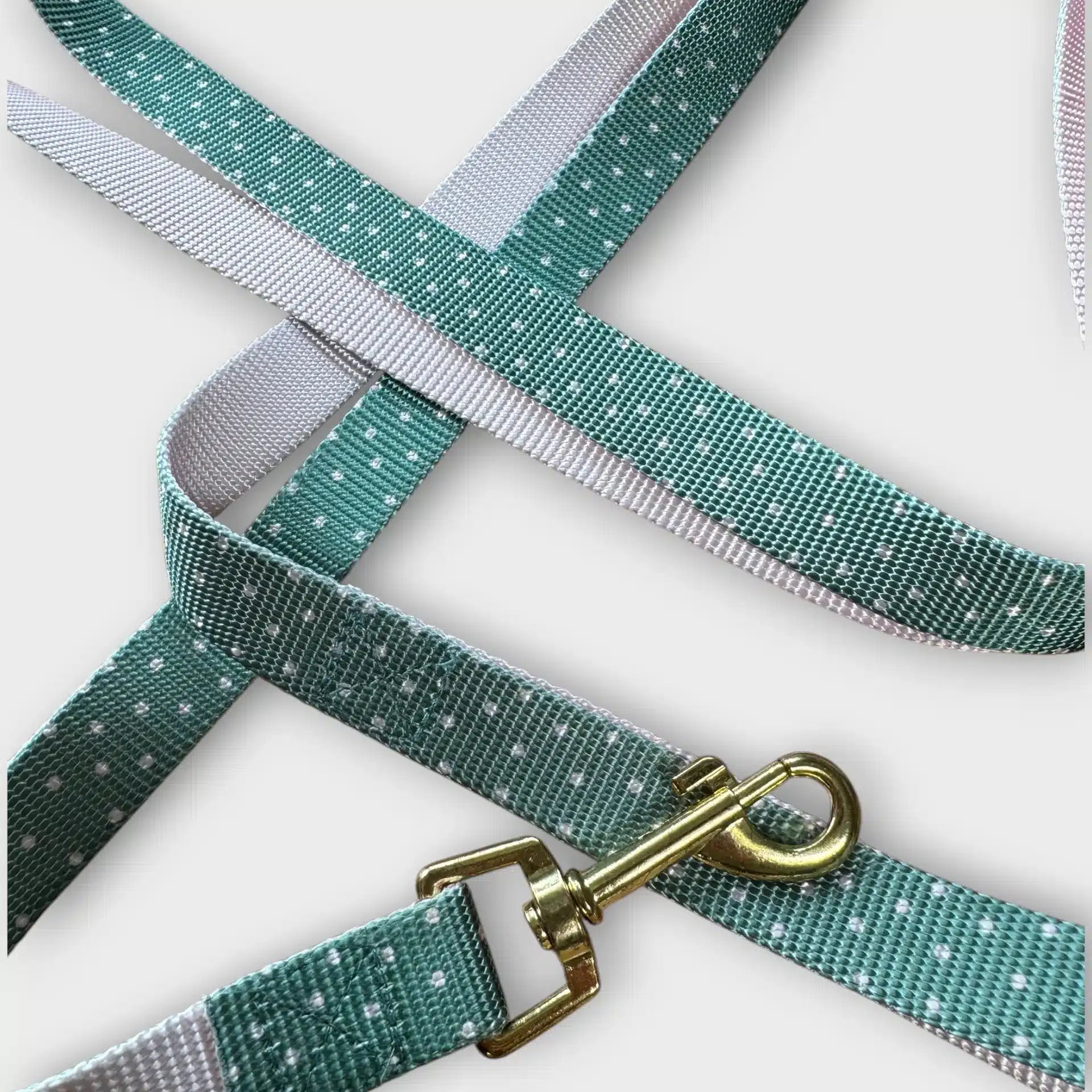 Mint-Rosa Prickigt Hundkoppel 2