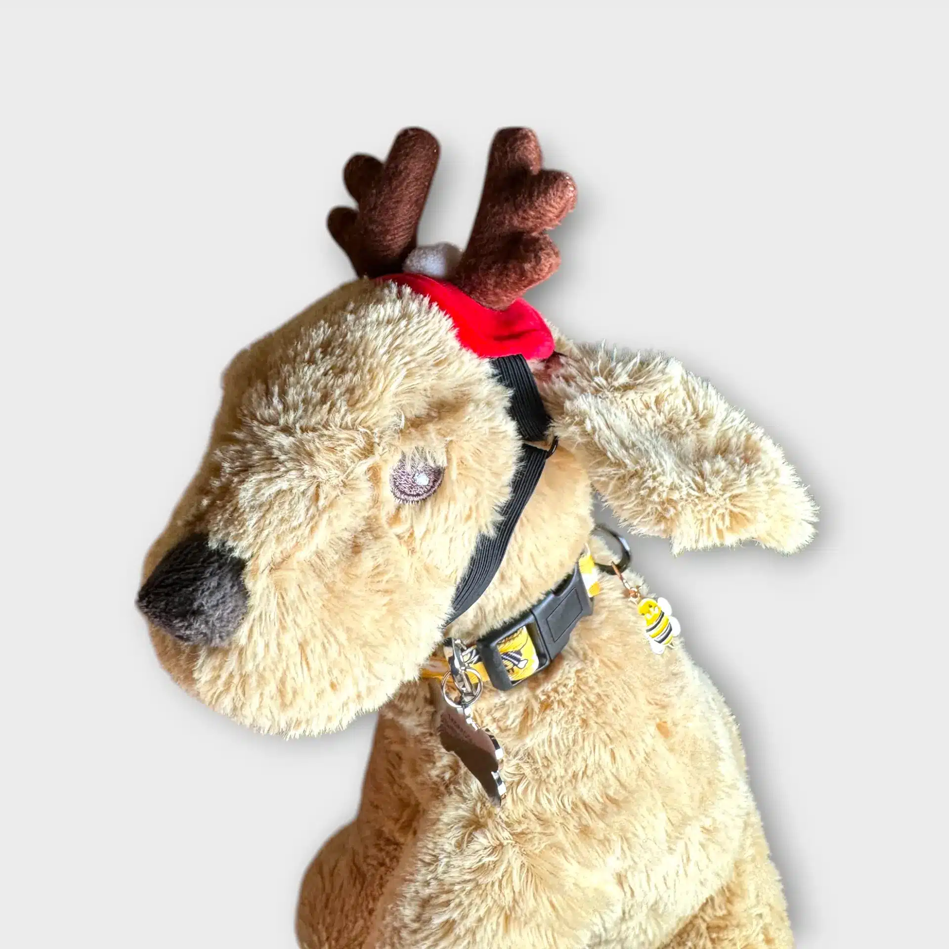 Festlig Renhuvudspännet 1