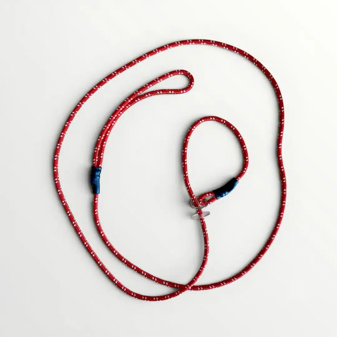 Retriever lead with reflector
