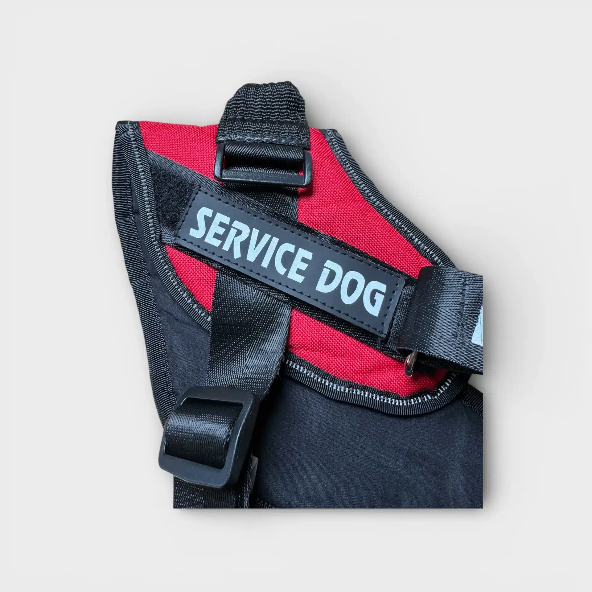 “Service Dog” Hundsele 1