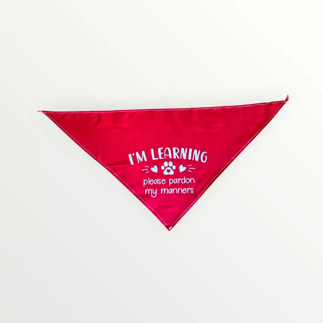 I am Learning Hundhalsduk 1